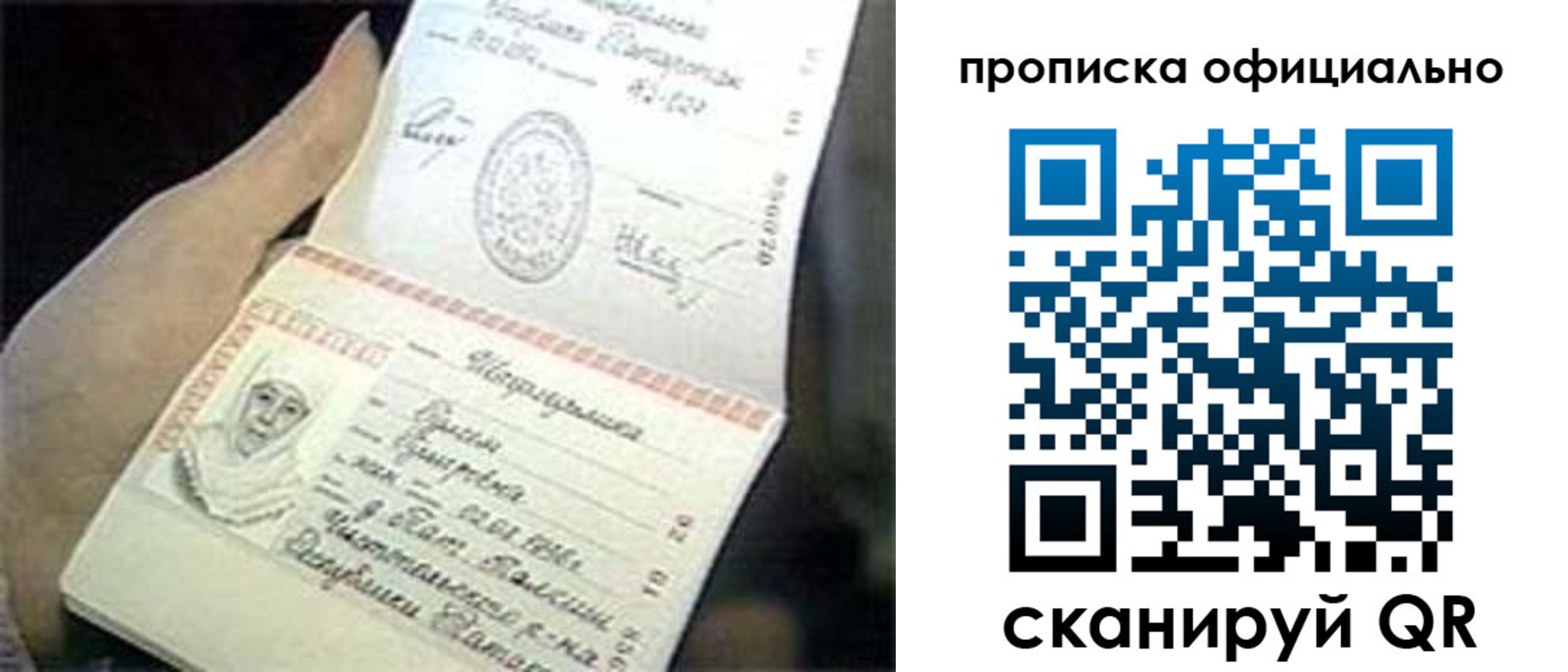 прописка поиск в Вязьме